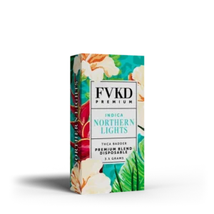 FVKD Northern Lights
